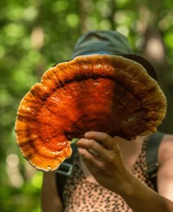 Woman holding full grown Reishi in front of her face