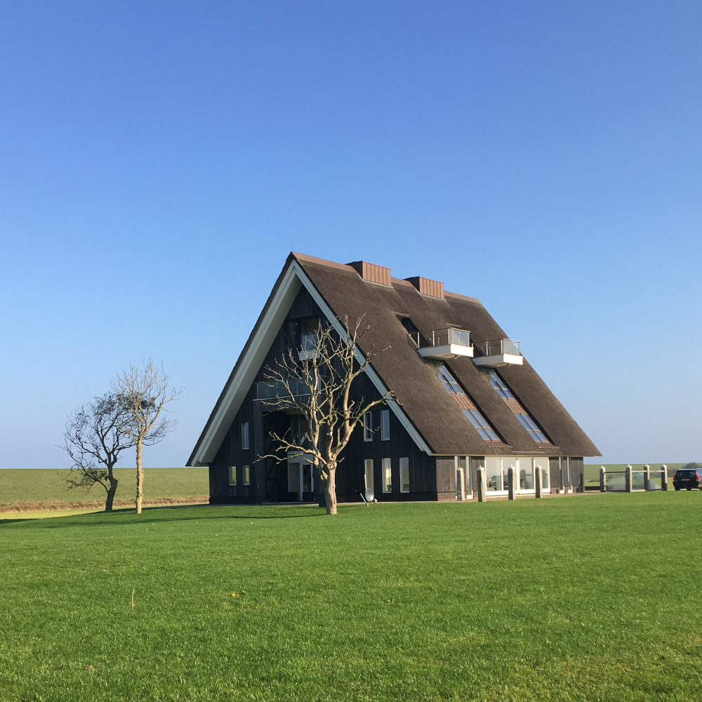 Dutch black house with huge garden, blue sky
