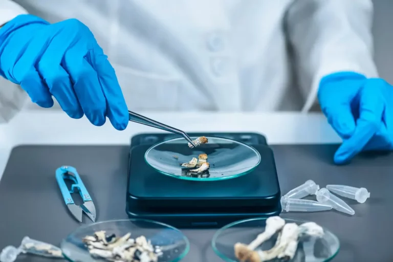 A person wearing blue gloves and a white lab coat uses tweezers to handle dried magic mushrooms on a glass dish placed on a digital scale, with lab tools and vials nearby.