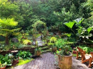 green patio