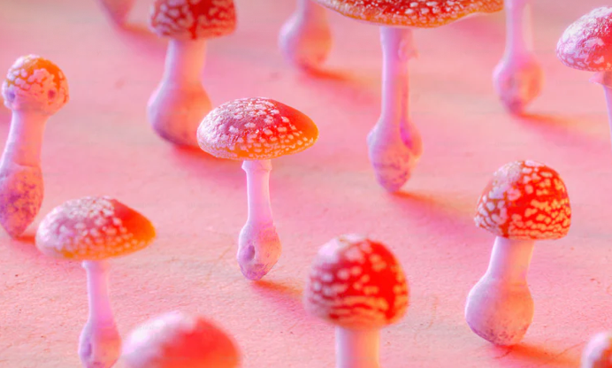 Do Magic Mushrooms Show Up on a Drug Test?