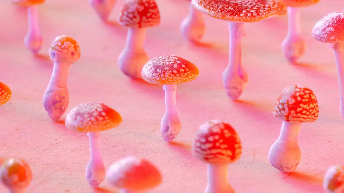 Several small, red-and-white speckled mushrooms with thick stems stand closely together on a smooth pink surface, illuminated by soft pink and orange lighting.