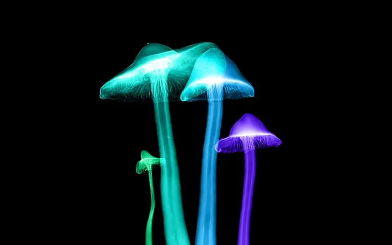 Four glowing mushrooms in neon blue, green, and purple hues stand against a black background, their stems and caps illuminated to create a surreal, bioluminescent effect.