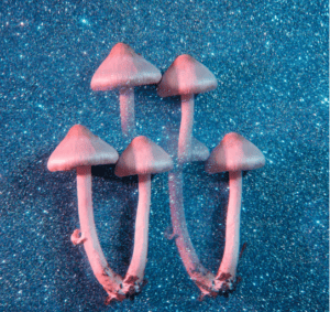 mushrooms on a glittery background