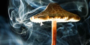 Smoke surrounding a mushroom