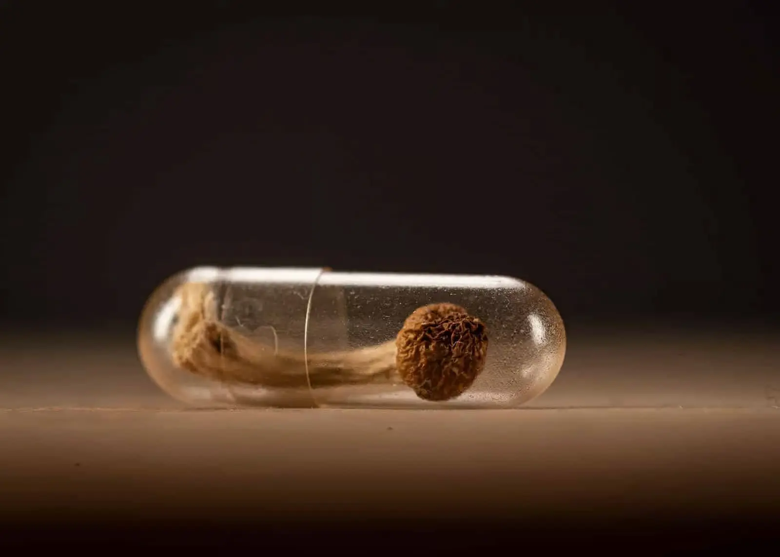A close-up of a clear capsule containing a dried mushroom or mushroom stem, resting on a neutral surface with a dark background.