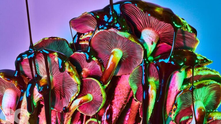 A cluster of magic mushrooms with vibrant, neon colors glows under dramatic lighting. A glossy, dark liquid drips over the caps, creating a surreal, psychedelic effect against a blue and purple gradient background.