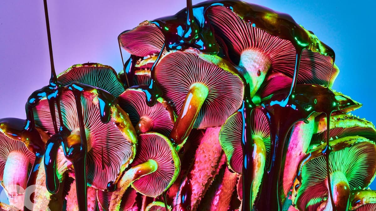 A cluster of magic mushrooms with vibrant, neon colors glows under dramatic lighting. A glossy, dark liquid drips over the caps, creating a surreal, psychedelic effect against a blue and purple gradient background.