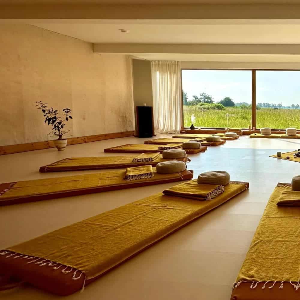 A serene ceremony room with yellow mats and cushions, large window revealing lush green landscape, and a potted plant in the corner.