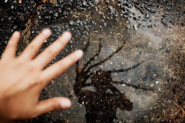 A blurred hand reaches toward a puddle on rough pavement, where the reflection of a person with dreadlocks is visible.