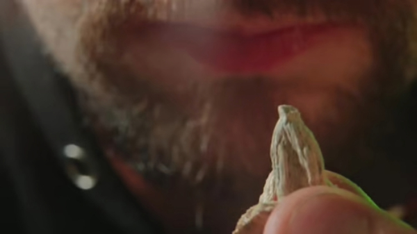 A close-up of a bearded person eating a dried psilocybin mushroom, with only the lower half of their face visible.