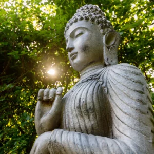 5-tägiges Psilocybin Retreat