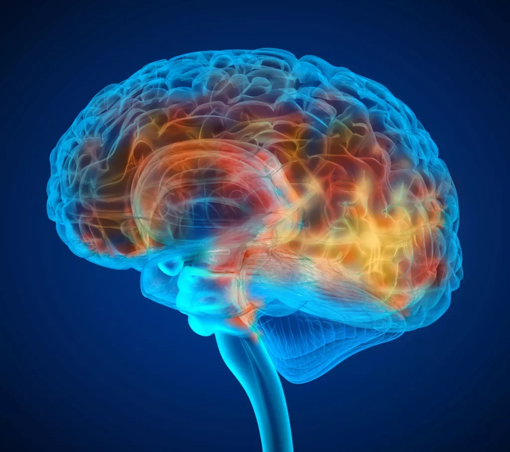 3D illustration of a human brain, shown in blue with highlighted areas in red, orange, and yellow, illustrating neural activity or brain function on a dark blue background.