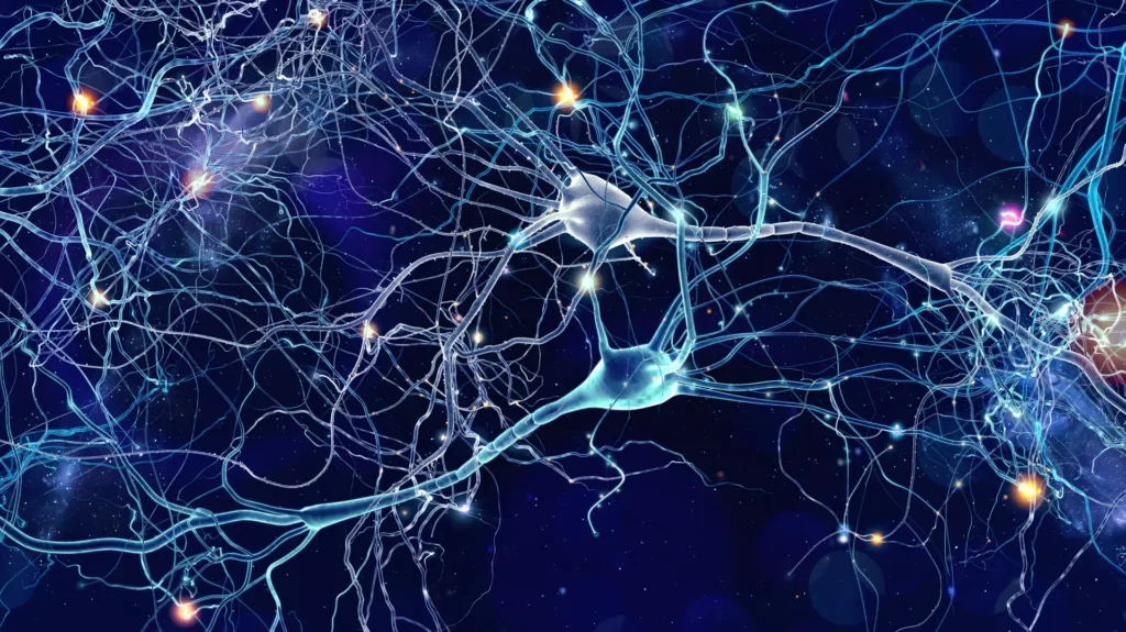 Illustration of interconnected neurons with glowing synapses on a dark blue background, depicting a complex neural network or brain activity. Thin branches extend from each neuron, creating a dense web-like structure.