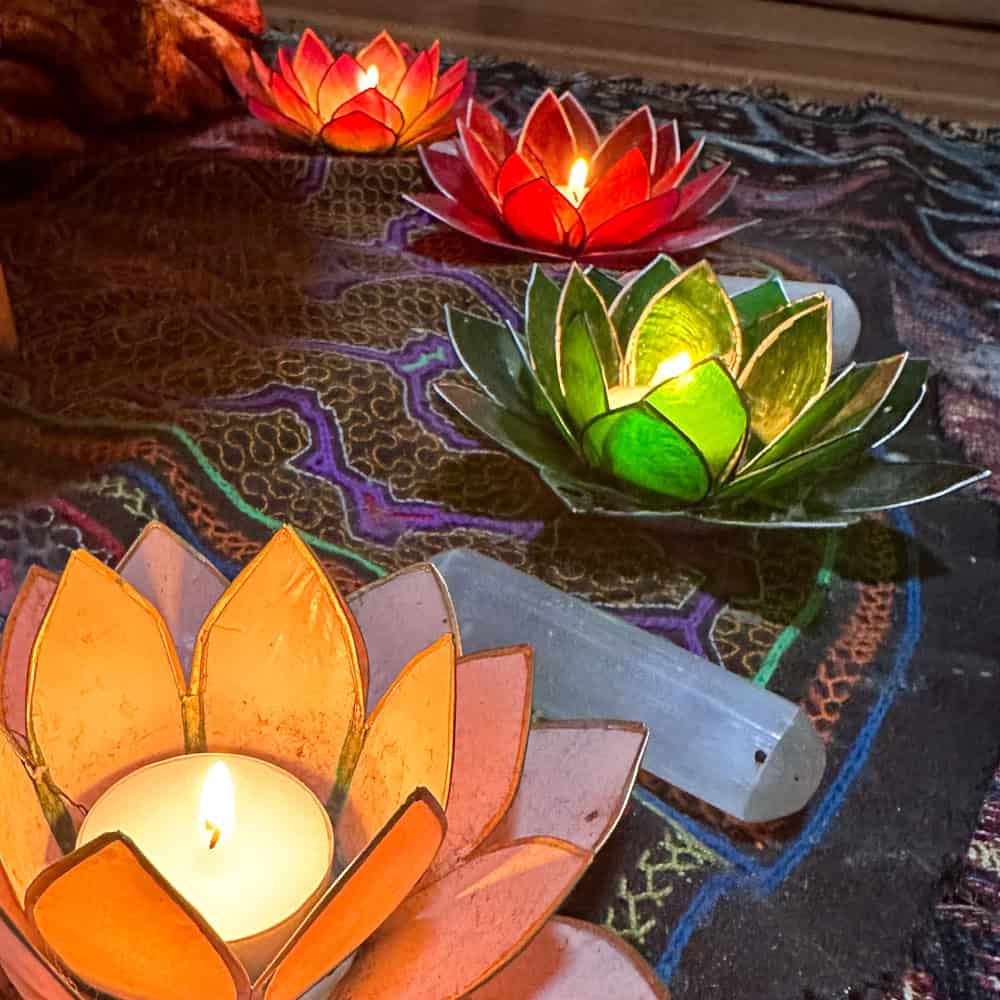3-tägiges Psilocybin Retreat